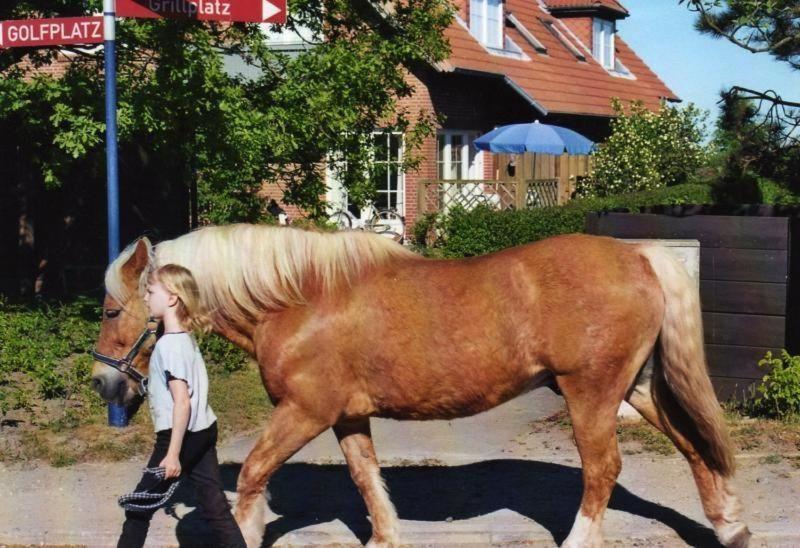 Fewo-Mit-Terasse-U-Garten-Am-Golfplatz Wulfen auf Fehmarn Buitenkant foto